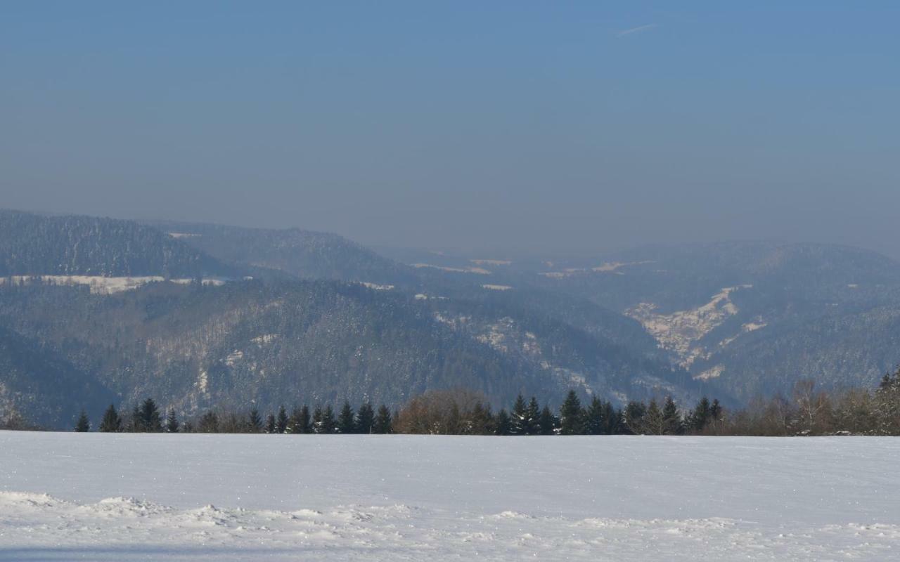 Affittacamere Sonnenhof Schramberg Esterno foto
